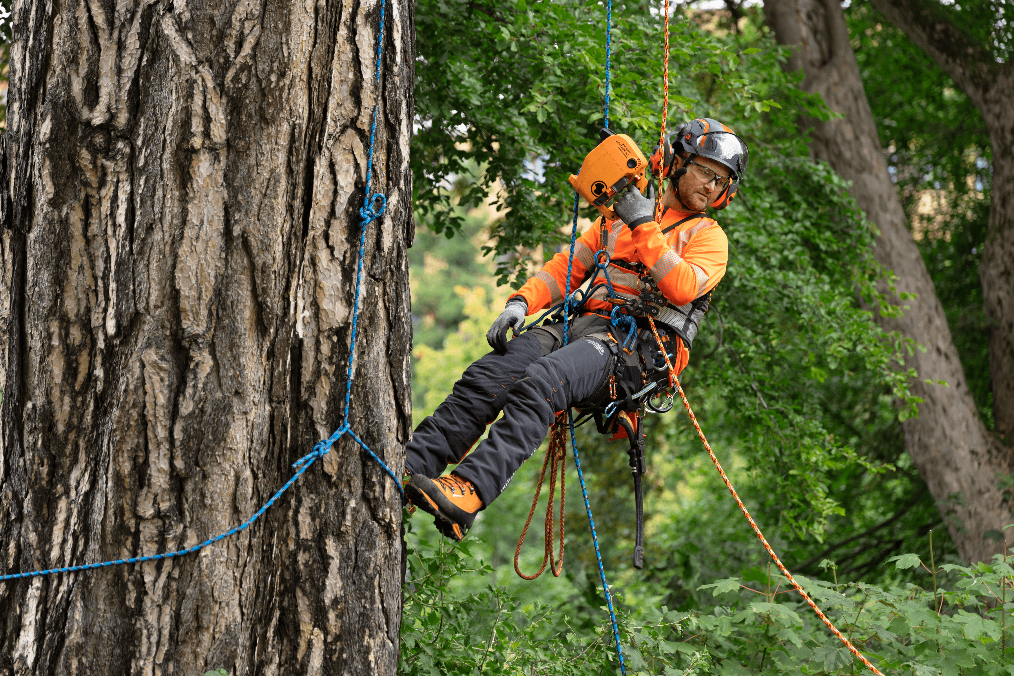 Husqvarna x Skylotec Power Ascender image 1